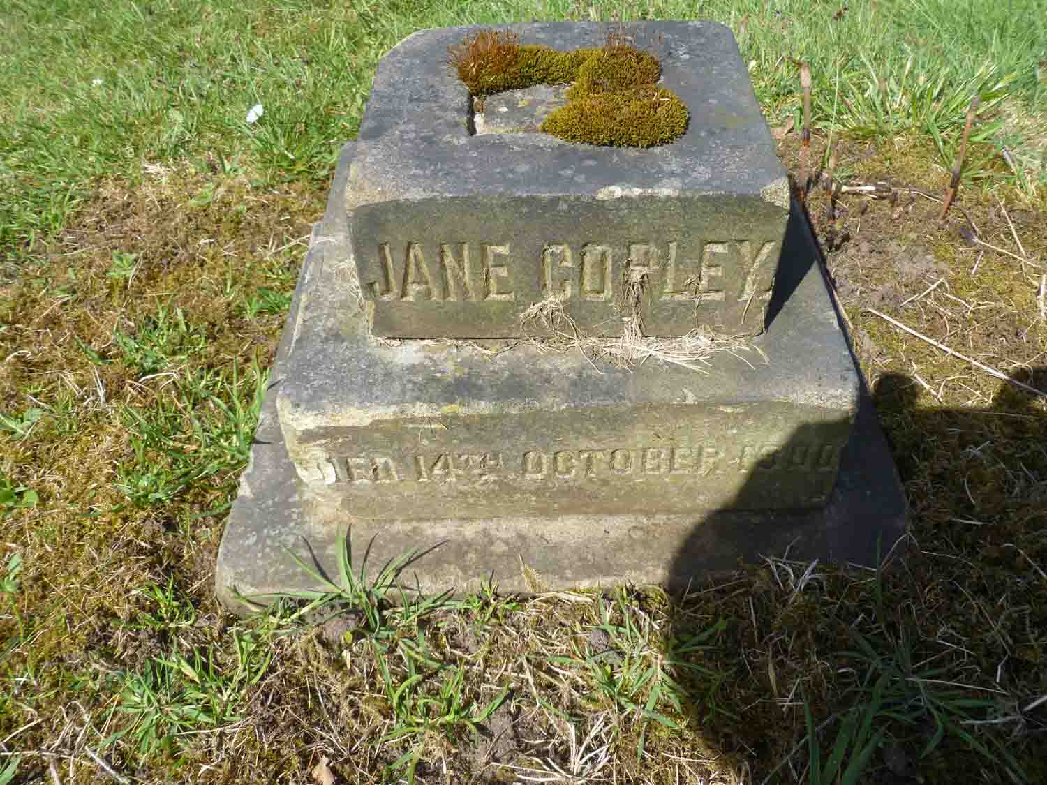 Copley, Jane (D Left 378)